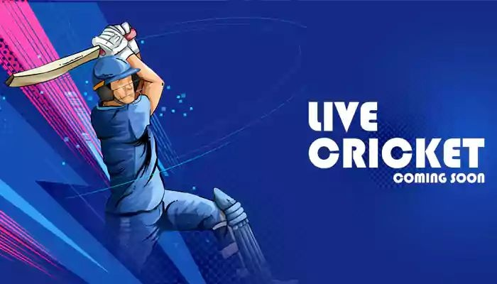 available types of  bet including pre-match live express and system bets